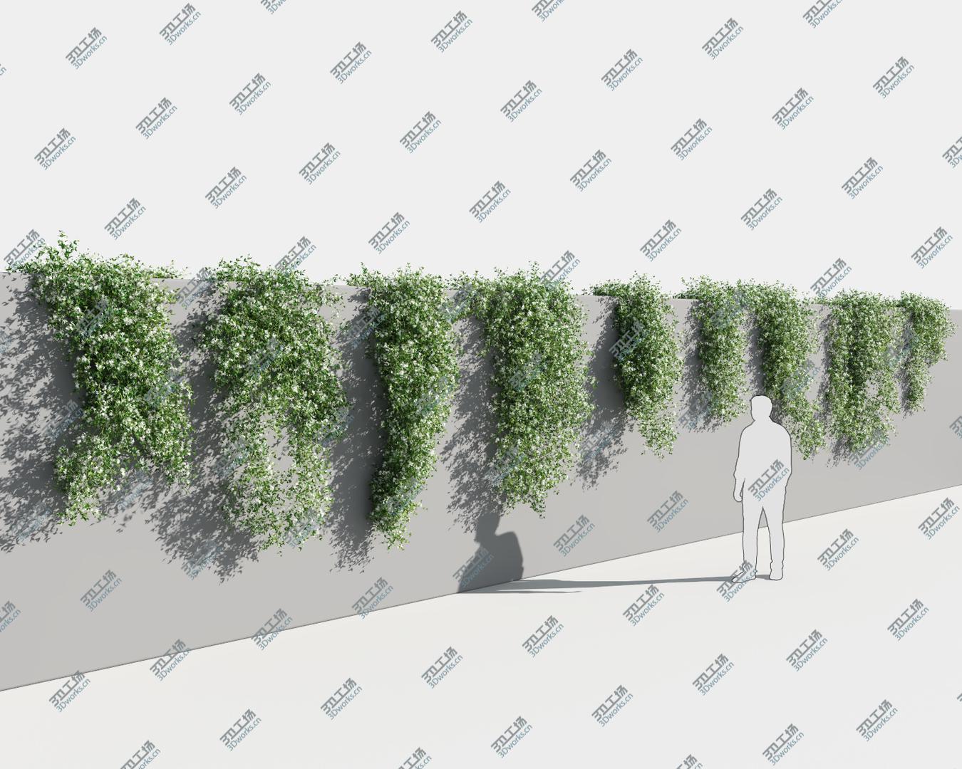 images/goods_img/202105073/Star Jasmine (-GrowFX) 3D model/5.jpg